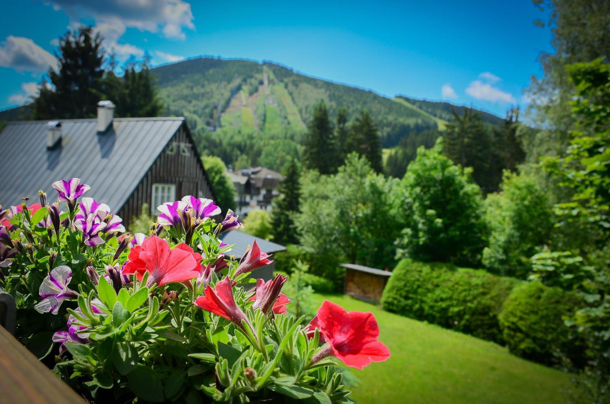 Hotel Friuli Harrachov Bagian luar foto
